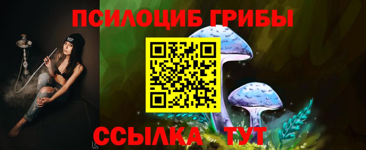 Псилоцибиновые грибы мухоморы Йошкар-Ола